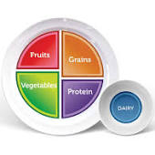 Perfect Portion Plate